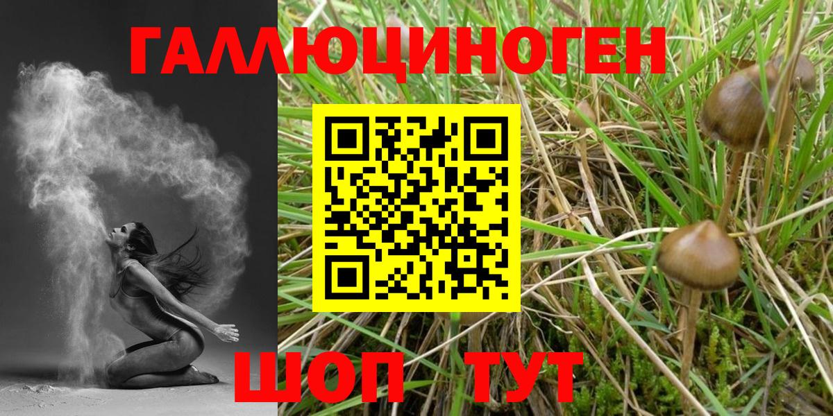 Чебоксары  Галлюциногенные грибы MAGIC MUSHROOMS  Вход с VPN 